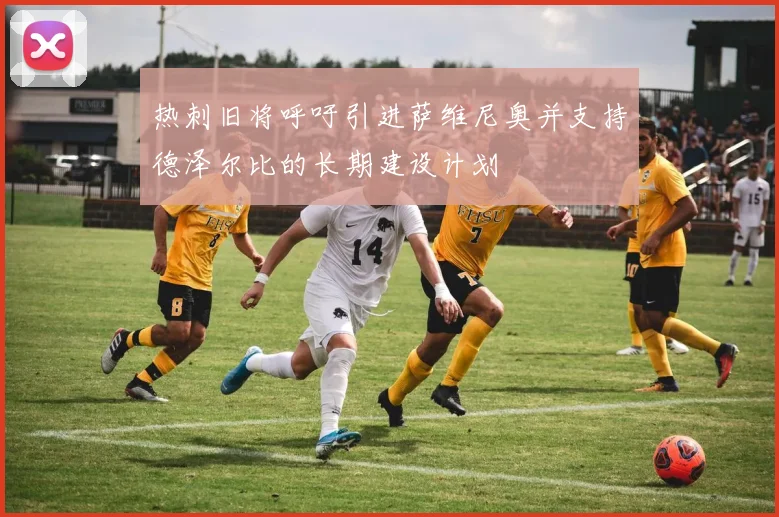 热刺旧将呼吁引进萨维尼奥并支持德泽尔比的长期建设计划