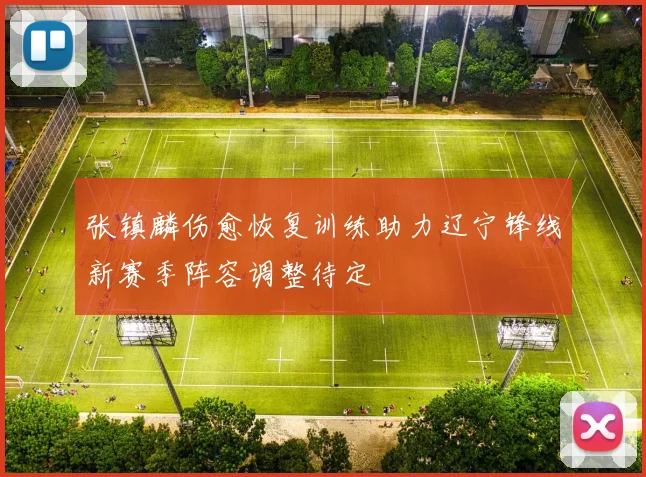 张镇麟伤愈恢复训练助力辽宁锋线新赛季阵容调整待定
